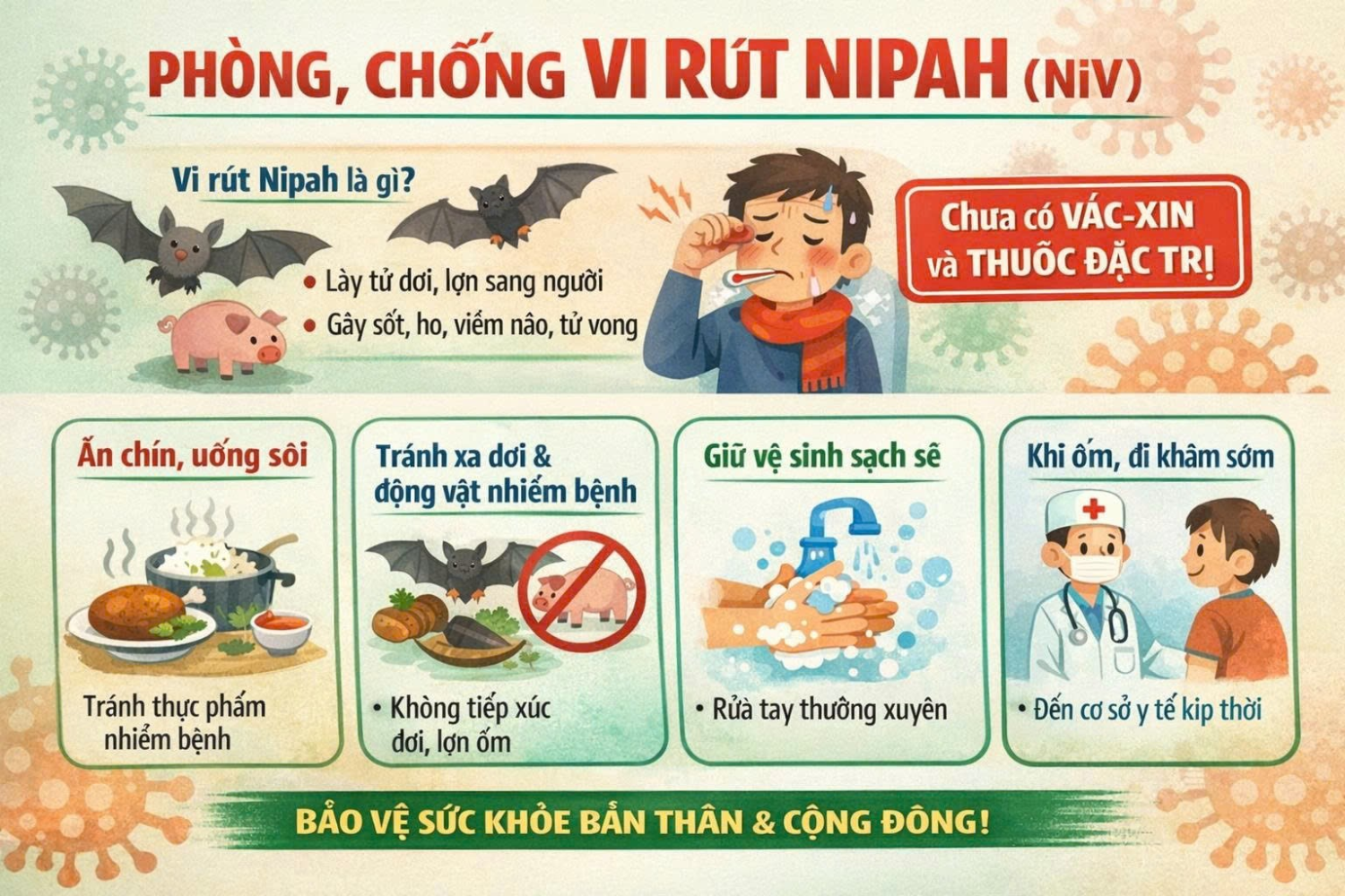 HÃY CHỦ ĐỘNG PHÒNG, CHỐNG VI RÚT NIPAH (NiV)