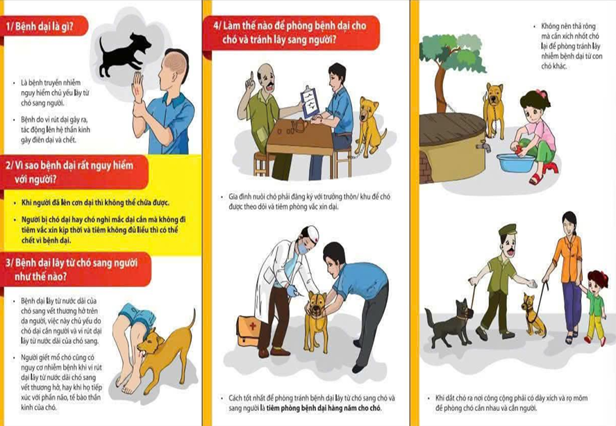 BÀI TUYÊN TRUYỀN PHÒNG CHỐNG BỆNH DẠI